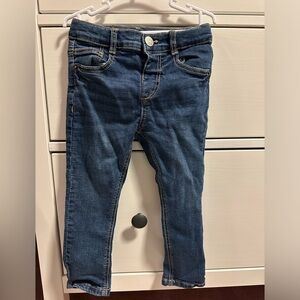 Zara Dark Blue Skinny Pants